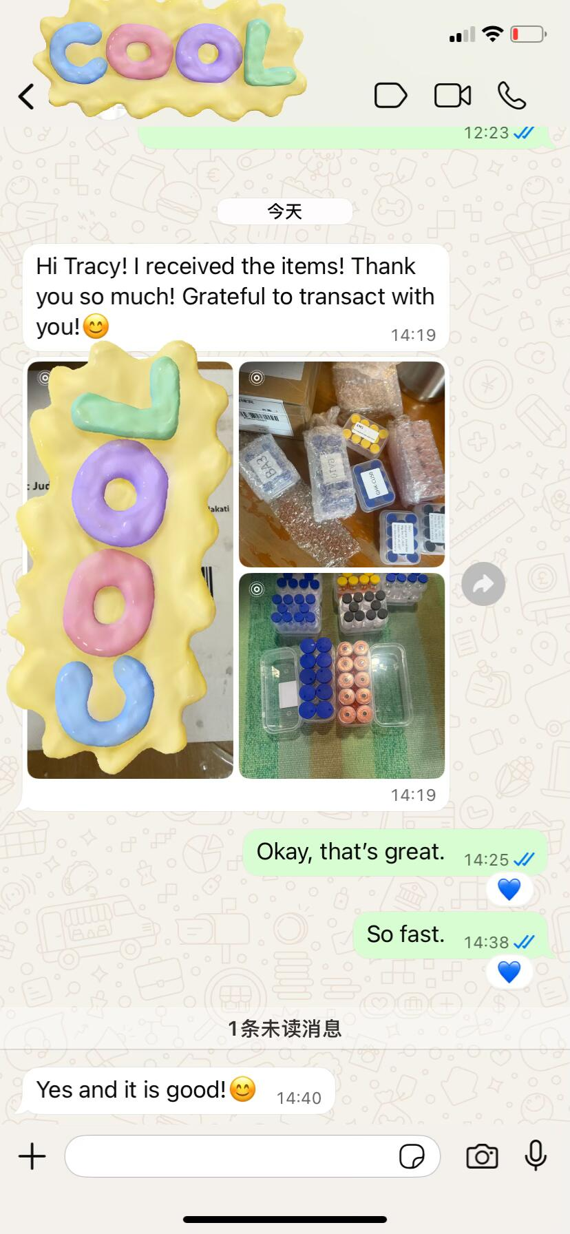 Customer conversation screenshot